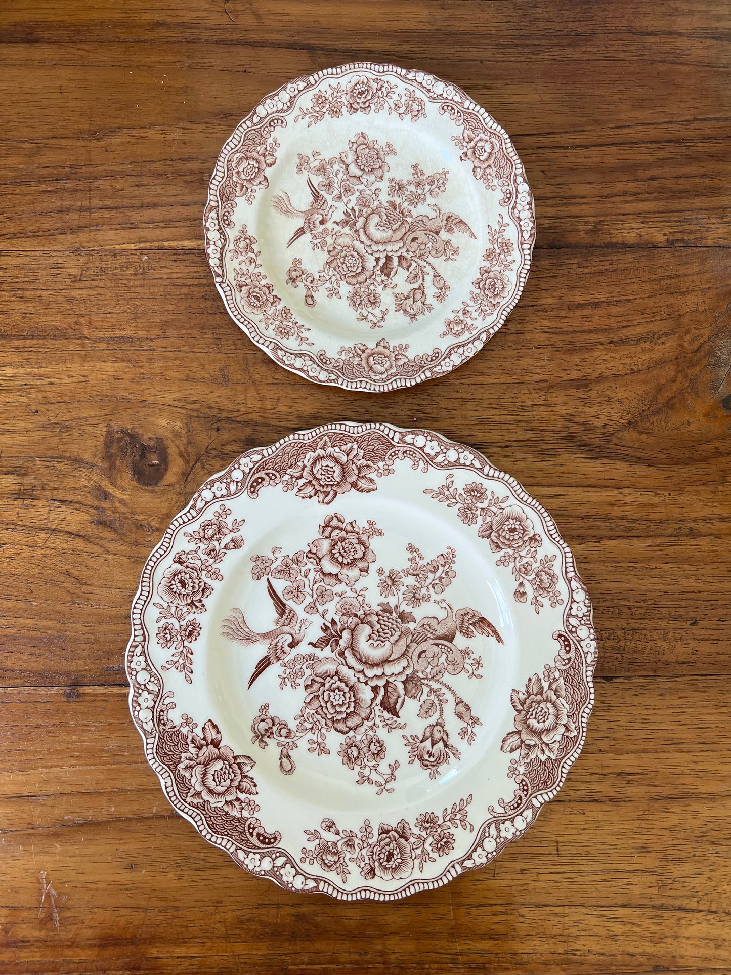 Medium brown and white “Bristol” Crown Ducal England plates
