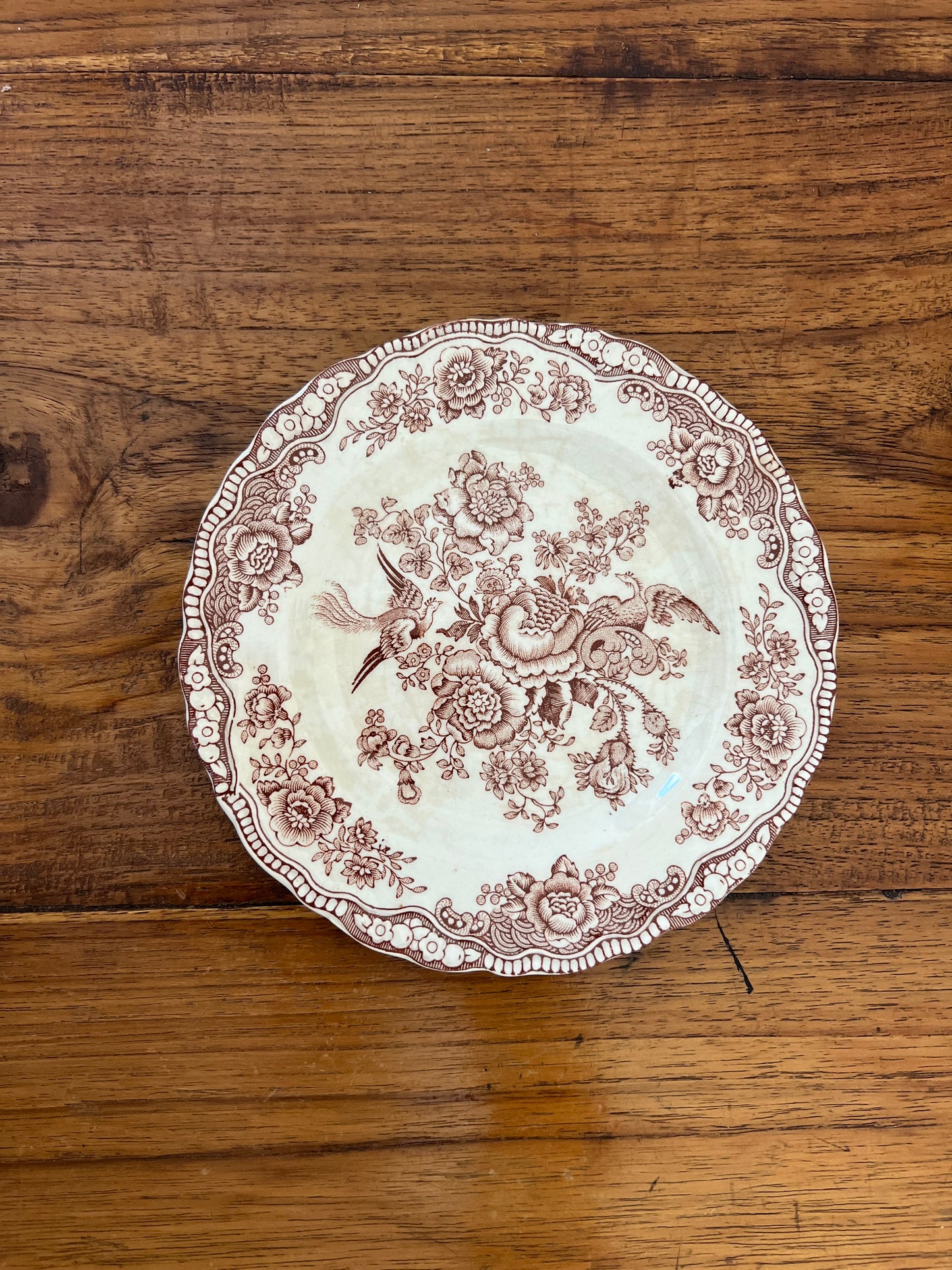 Small brown and white “Bristol” Crown Ducal England plates