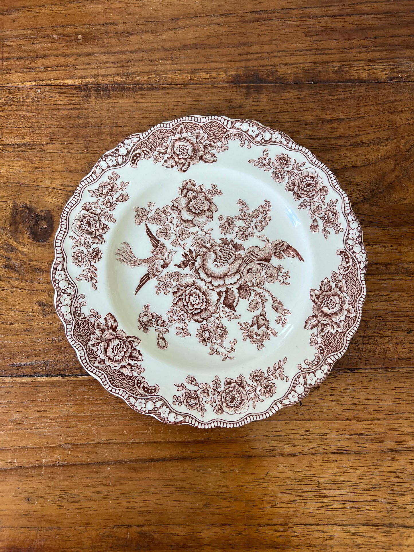 Medium brown and white “Bristol” Crown Ducal England plates
