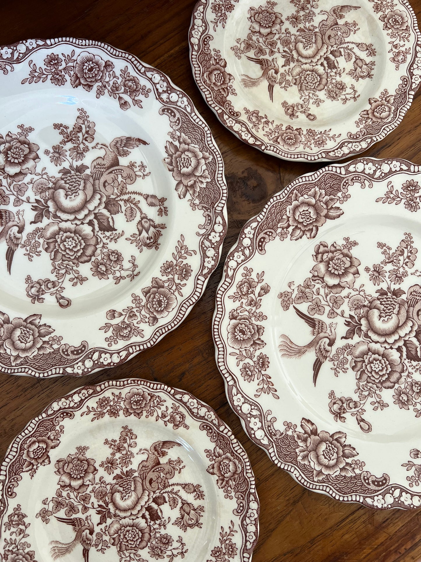 Medium brown and white “Bristol” Crown Ducal England plates