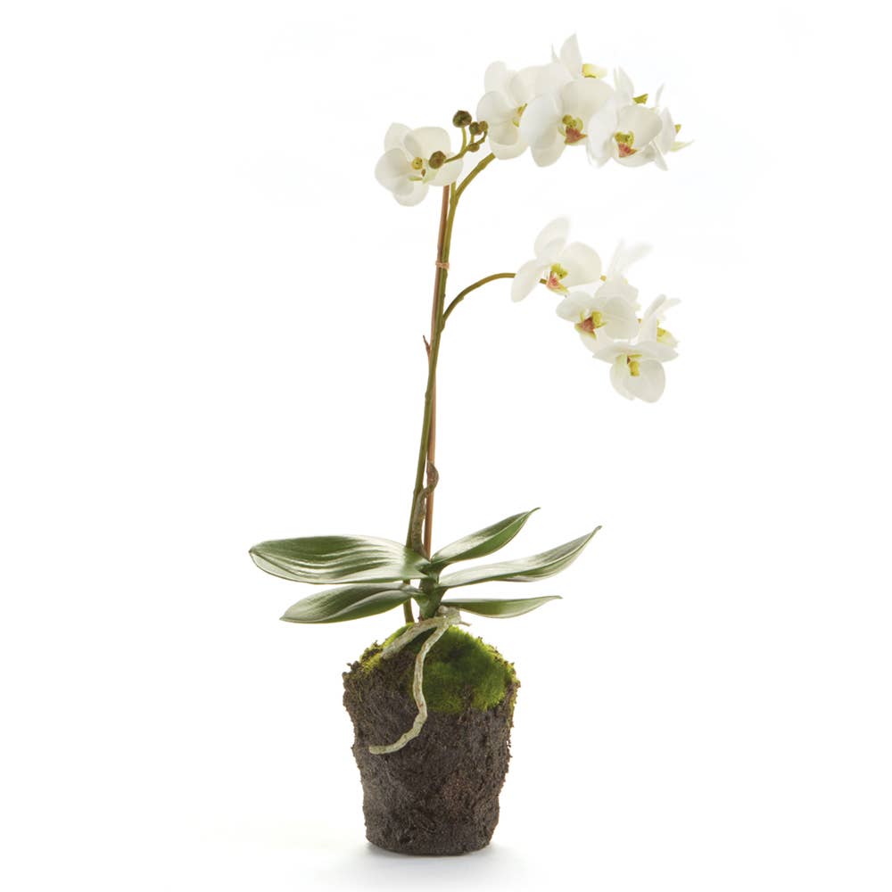 White Faux Orchid Drop-In
