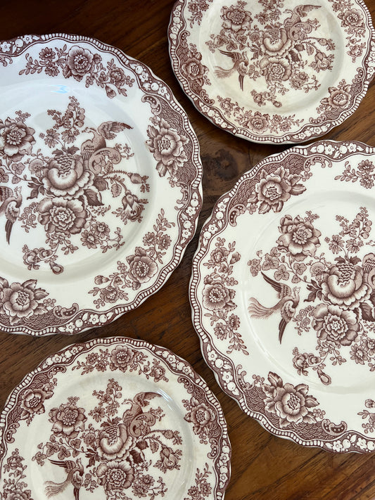 Small brown and white “Bristol” Crown Ducal England plates