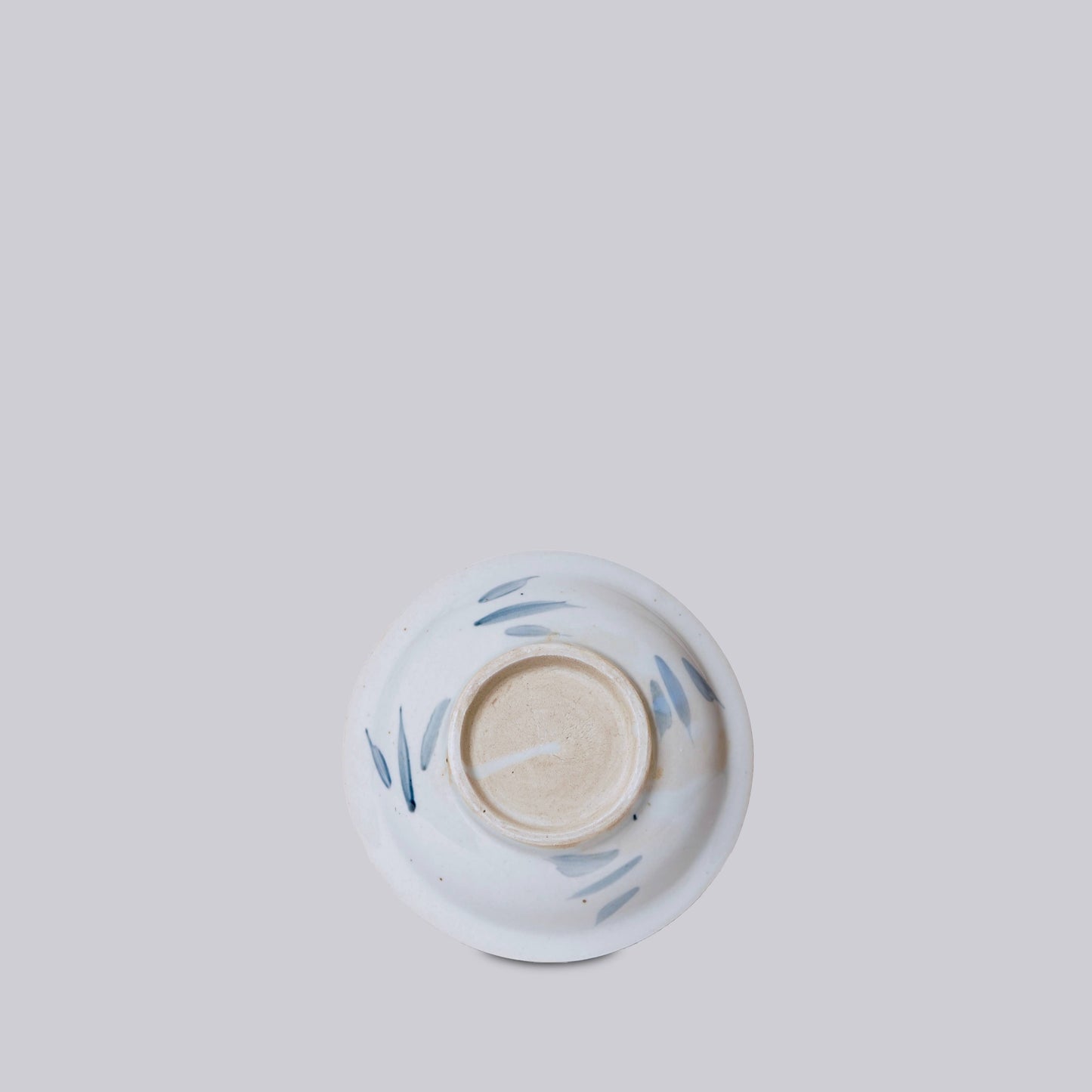 Blue and White Porcelain Fish Trinket Dish