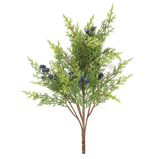 Blue Berry & Cedar Stem