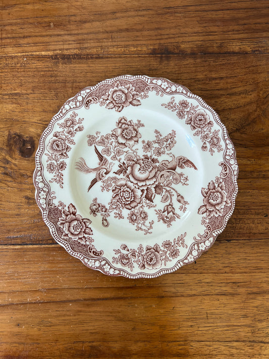 Medium brown and white “Bristol” Crown Ducal England plates