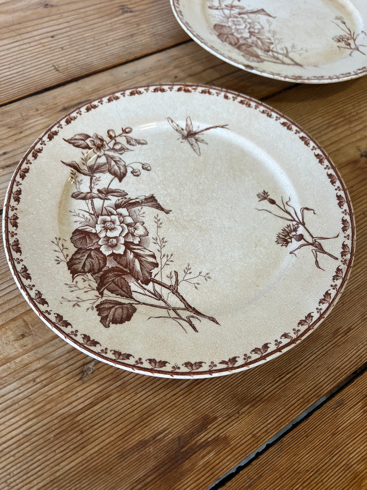 Antique French Terre de Fer Brown Transferware Plates