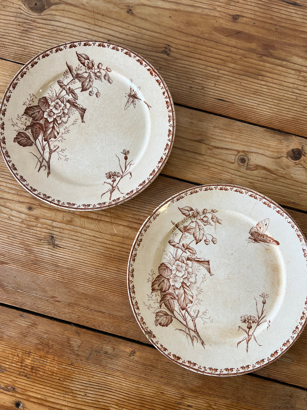 Antique French Terre de Fer Brown Transferware Plates